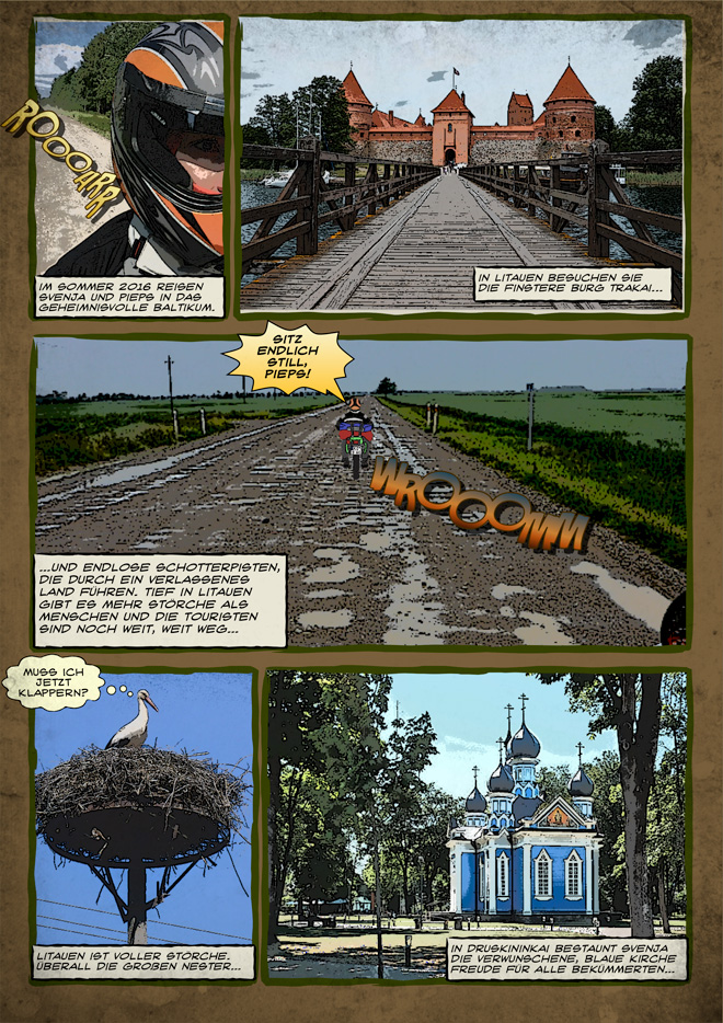 Svenjas Baltikumreise - Die Managementversion