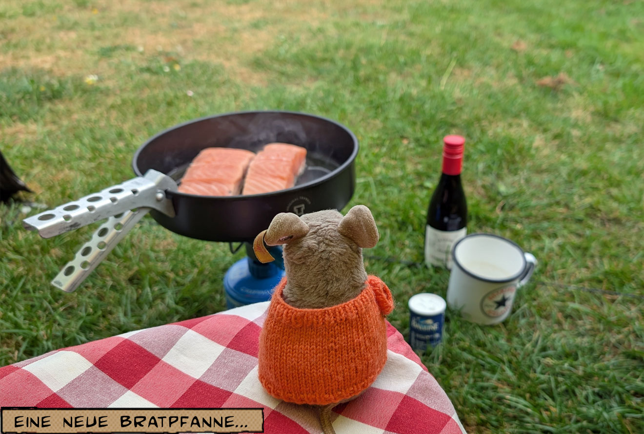 Lachs brät auf dem Campingkocher