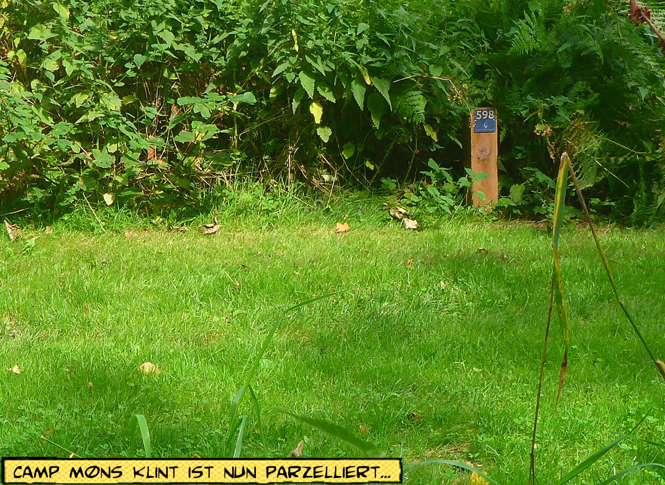 Zelt und Motorrad auf dem Campingplatz