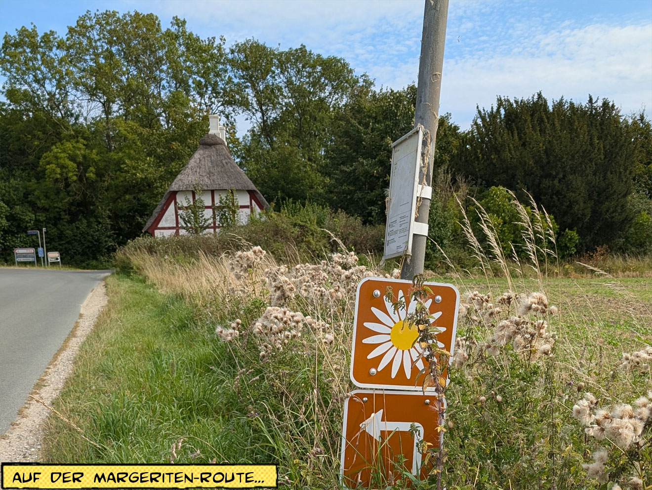 Schild Margeriten-Route Dänemark
