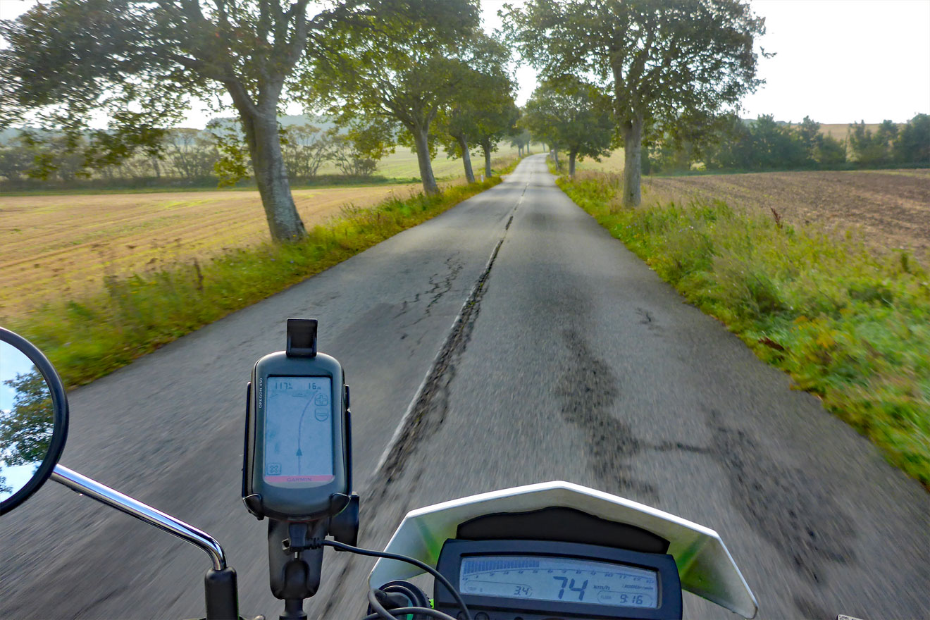 Allee aus der Perspektive eines Motorradfahrers