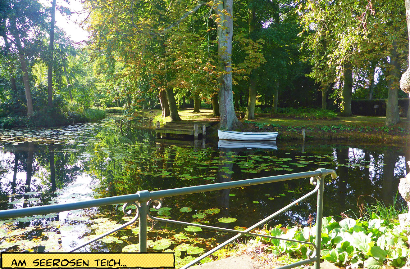 Ruderboot auf dem Seerosenteich