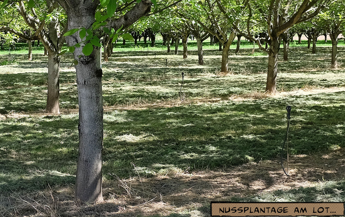 Motorradtour Frankreich