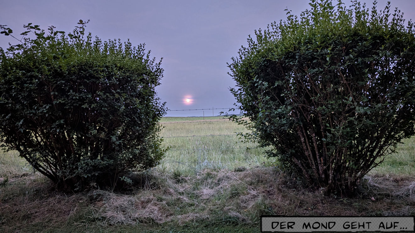 Der Vollmond über den Feldern