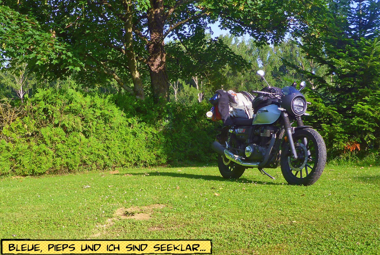Motorrad steht auf einer Wiese
