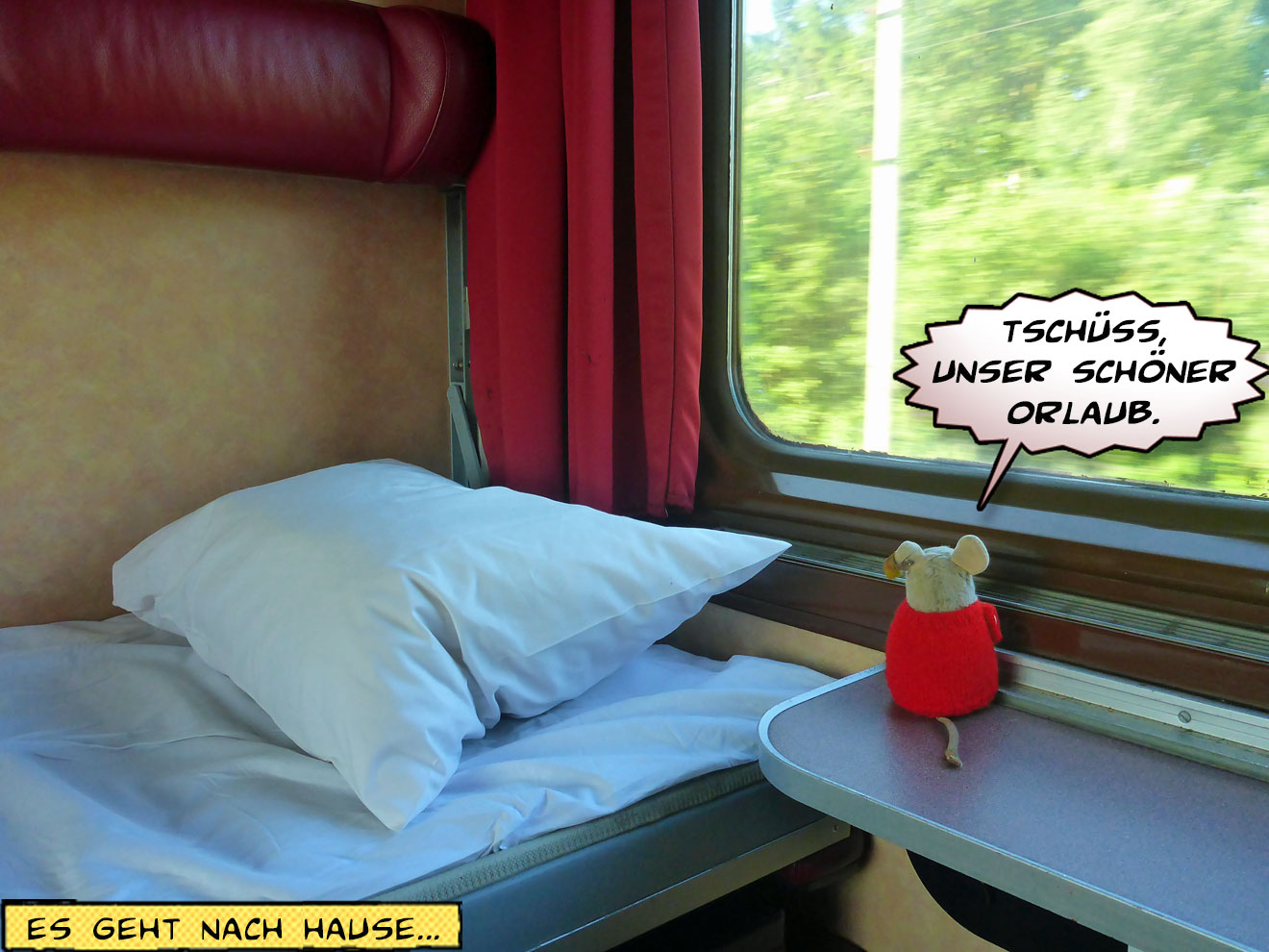 Blick aus dem Fenster vom Autozug